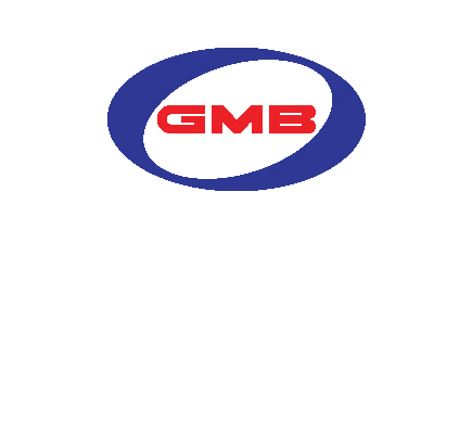 imagen de logo de GMB